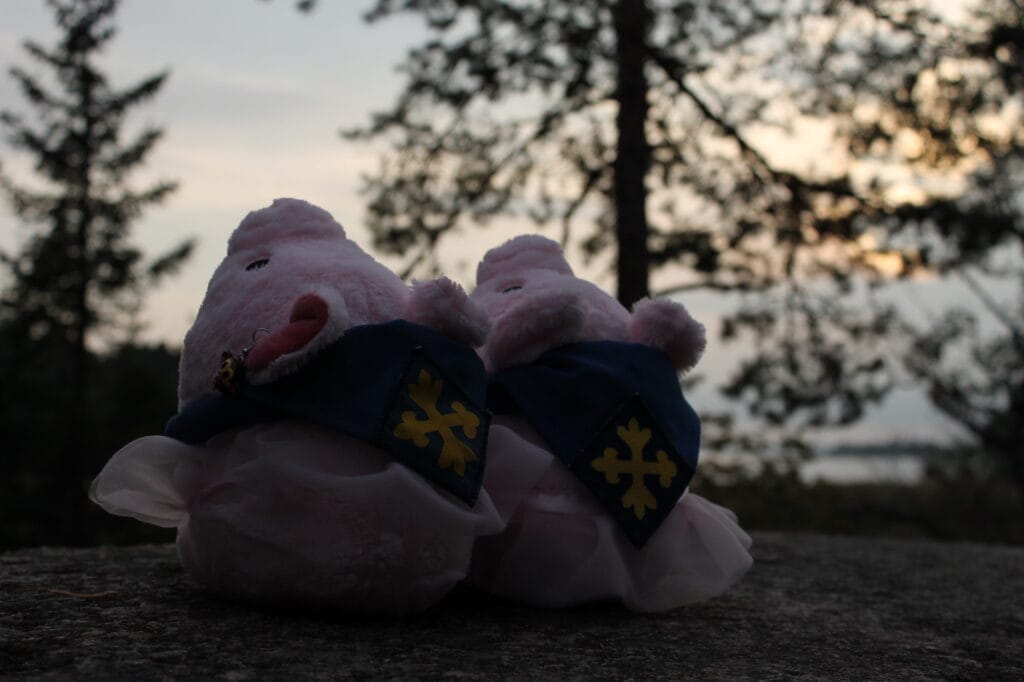 Perhepartiotoiminta käynnistyy Kyrössä! - Lue lisää